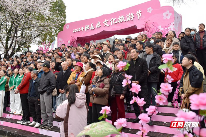 现场吸引了众多游客。
