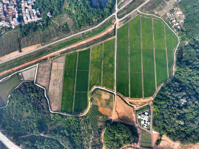 三、技术研发：专利领跑，硬核实力构筑护城河