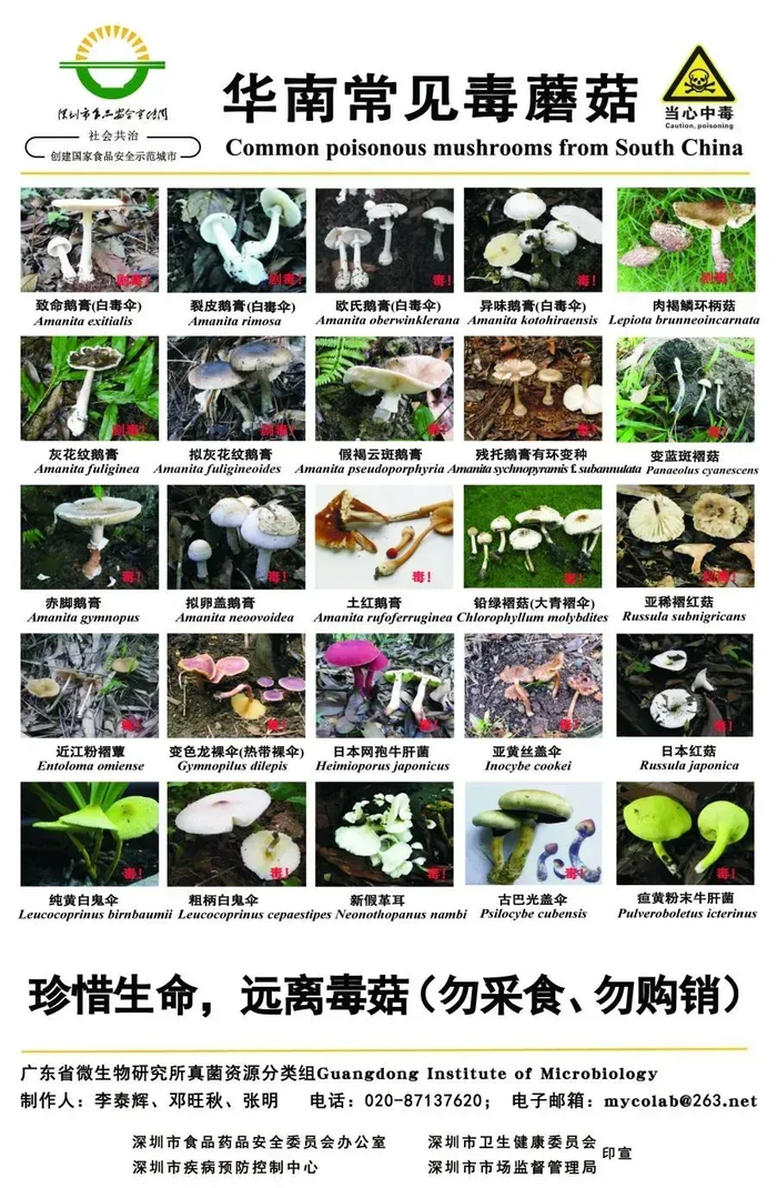 图片来源：深圳市卫健委 