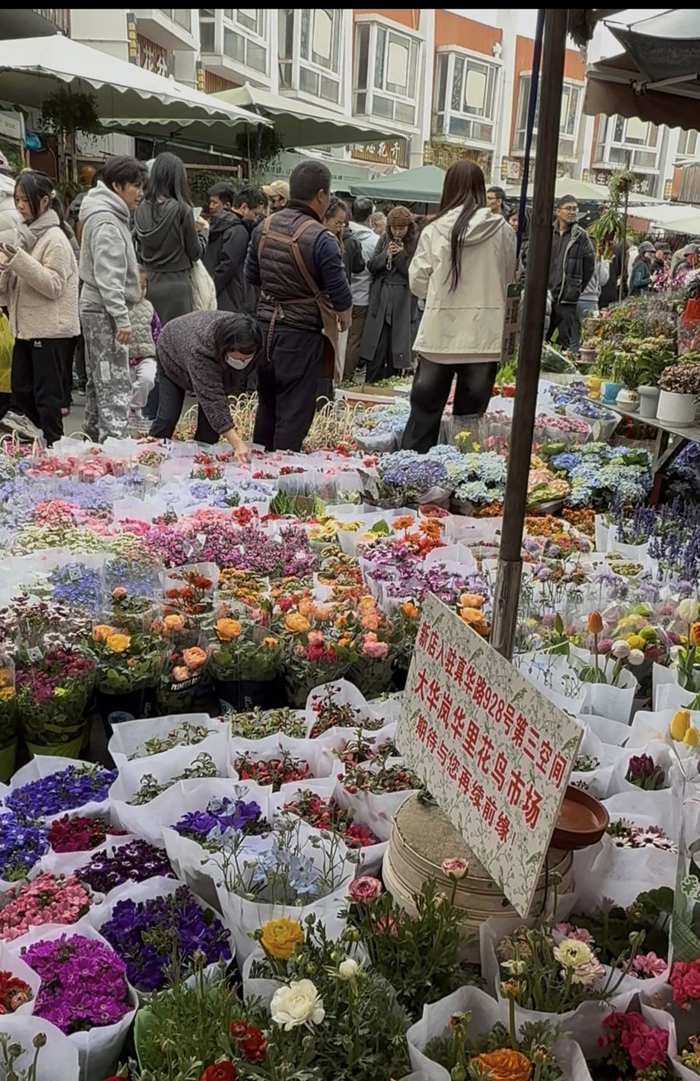 倒计时仍有很多人在逛花鸟市场。
