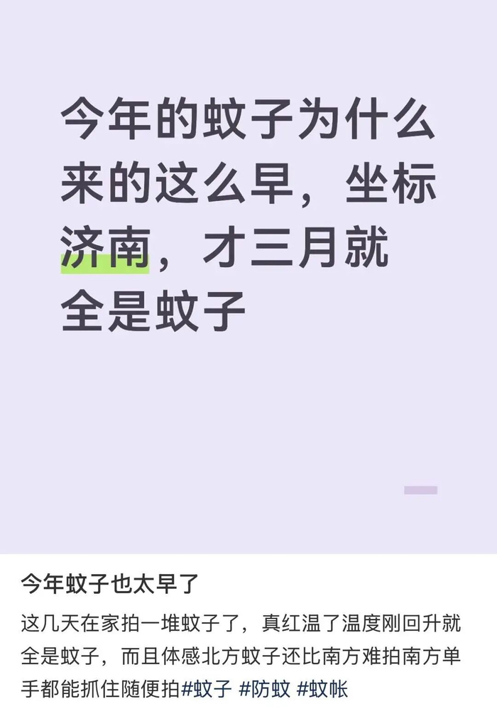 济南李先生称蚊子提前登场，他也买好了蚊帐