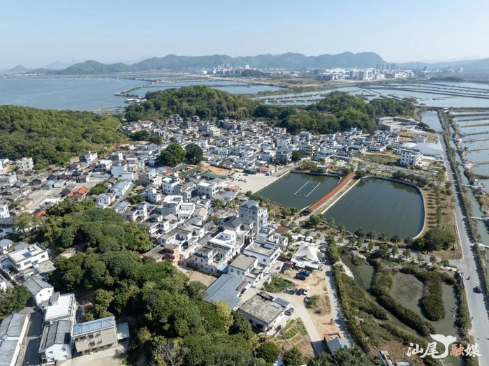 晨洲村。