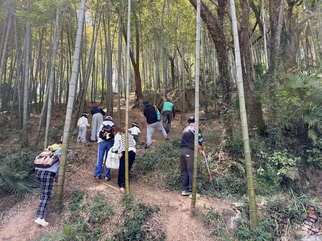 游客爬到山坡上挖笋。李昂 摄