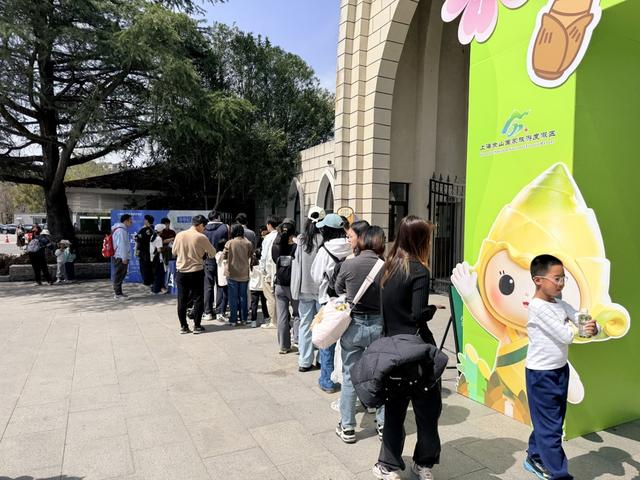 佘山国家森林公园东佘山园大门口排起小长队。李昂 摄