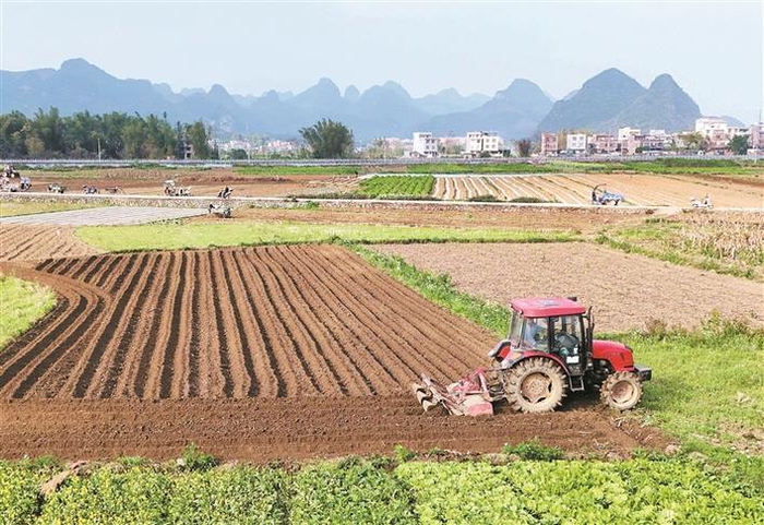     广西壮族自治区来宾市忻城县城关镇都乐村农民驾驶农机在翻耕田地，准备种植玉米（资料图片）。新华社发（樊绍光  摄）