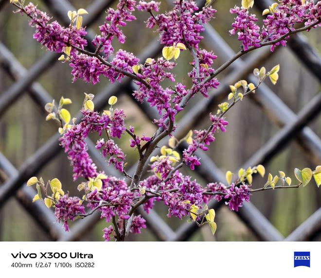 （图片来源：雷科技摄制）