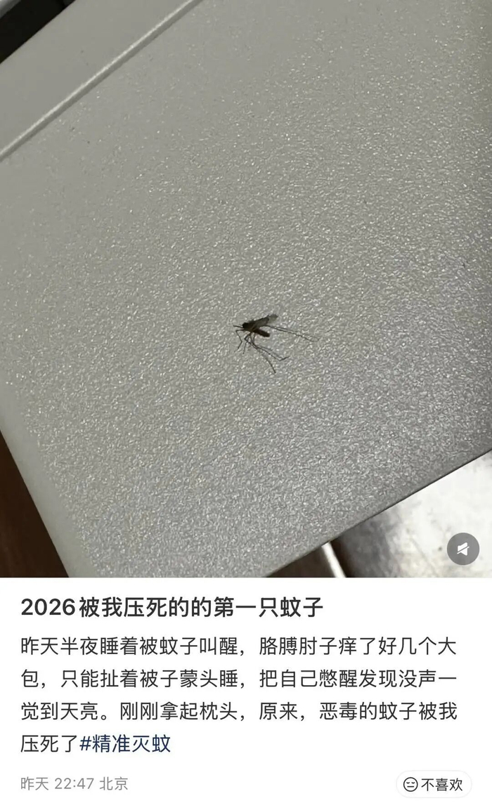 北京网友称已被蚊子“骚扰”