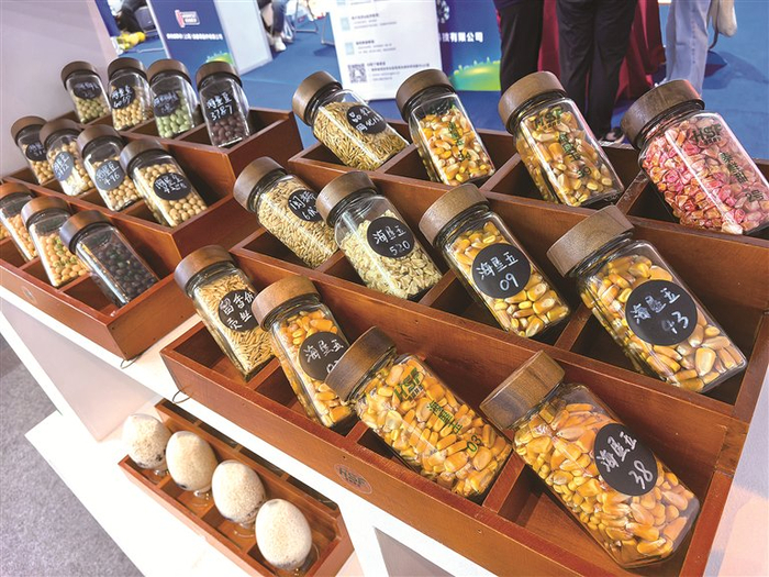 图为室内展区种子展品。 李灵娜 摄