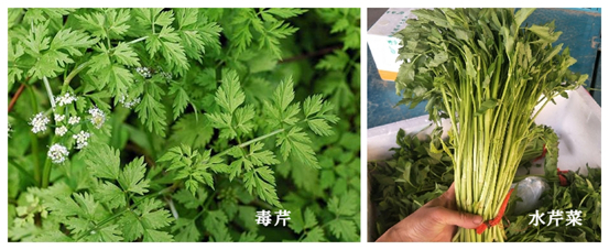图片来源：湖南疾控 