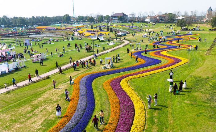 　　游人在武汉花博汇赏花游览。新华社记者 肖艺九 摄