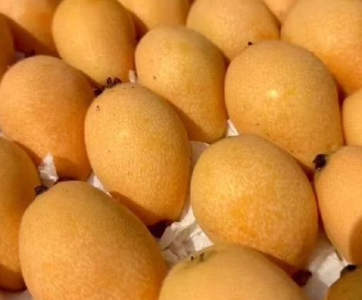 米易枇杷 图据四川文旅