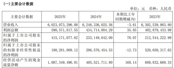 图片来源：大众公用2025年年度报告