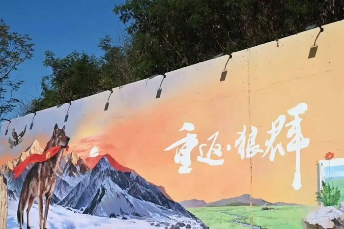 位于四川南充的“格林墙”。图据南充文旅微博