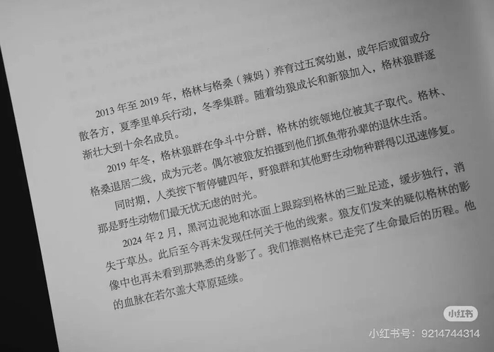 今年2月，由三环出版社再版的《重返狼群》，透露格林活到了14岁。图据三环出版