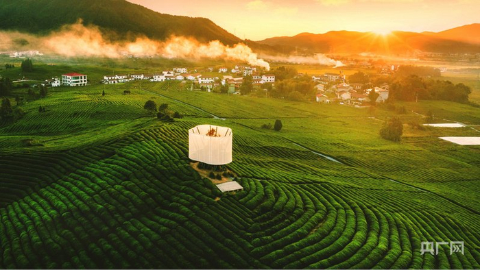 江西景德镇市浮梁县寒溪村茶园（央广网记者  胡斐  摄）
