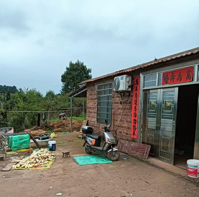 李树全在养猪场旁边盖的平房，理理每次回家都住在这里。 受访者供图