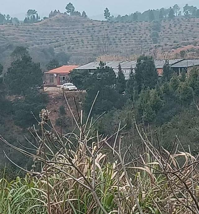 李树全带理理回到了老家，一个湖南的小山村。 受访者供图