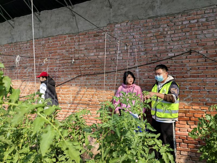 企业到大棚合作洽谈