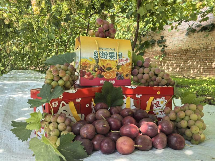 葛根庙镇果蔬采摘供应园区吴国强家的果蔬礼盒