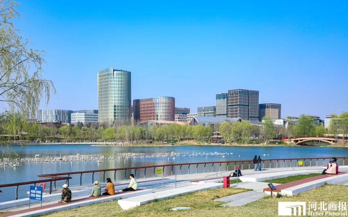 雄安居民在金湖公园内休闲观光。摄影/陈世豪