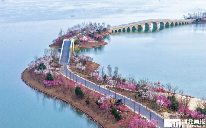 燕南堤春色。摄影/李达