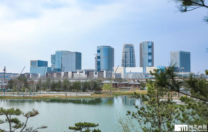 春天的雄安新区启动区。摄影/陈世豪