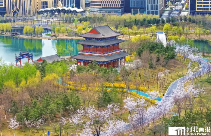 金湖公园内春意盎然。摄影/李达