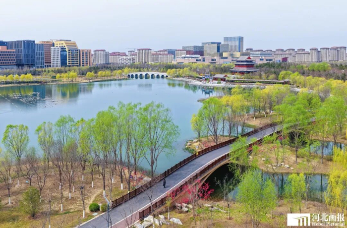 金湖公园内春意盎然。摄影/李达