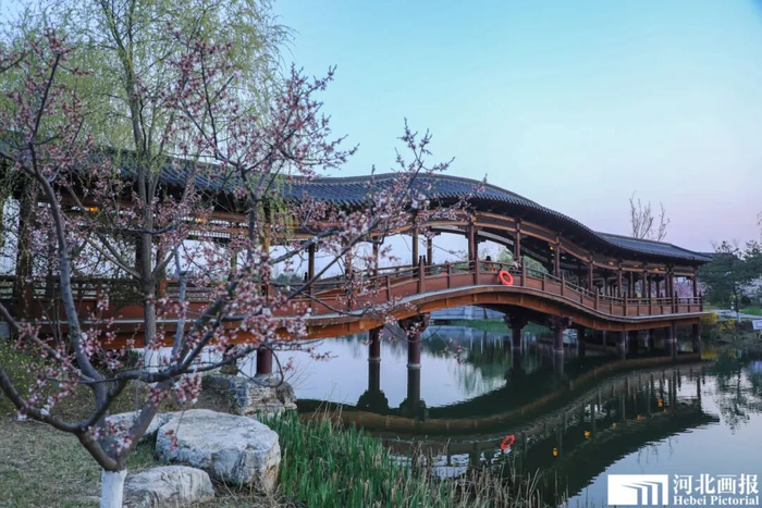 悦容公园春色。摄影/陈世豪