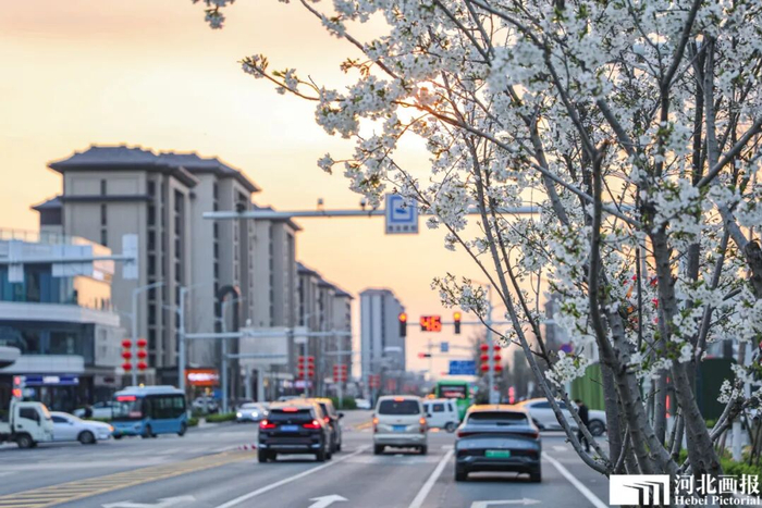 春日的启动区街头。摄影/陈世豪