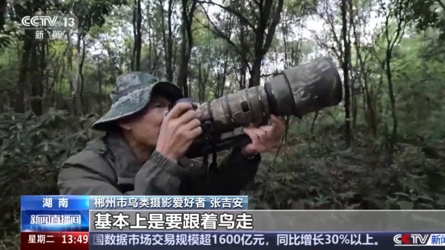 新闻直播间截图。​