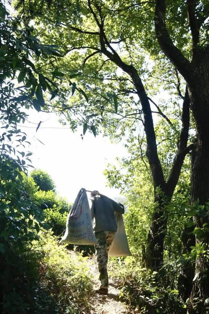 图源/钱江晚报