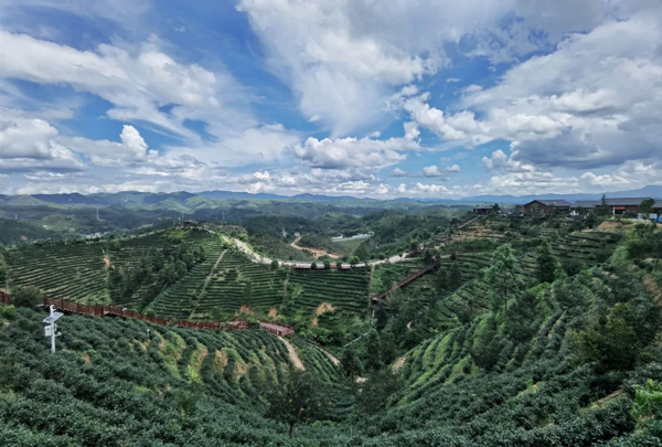        紫金客茶谷 广东省文化和旅游厅供图       