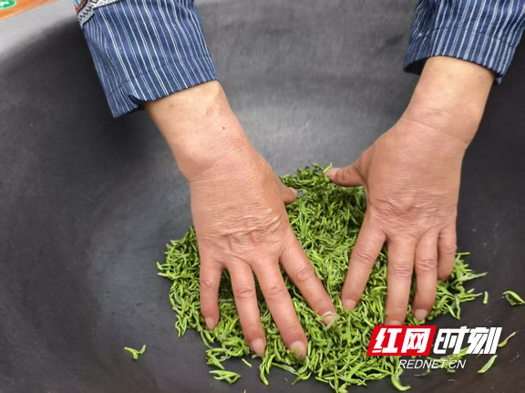 参赛选手炒茶。