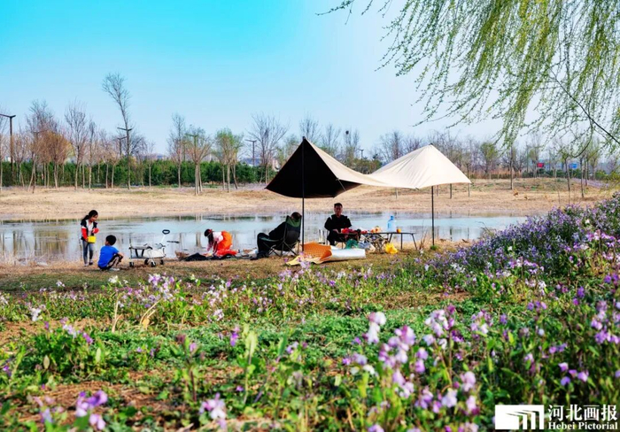 游客在雄安郊野公园露营嬉戏。摄影/杨亚文