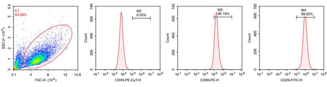 图3 流式细胞术分析显示，大鼠BMMSCs群体表达CD90和CD29，不表达CD45