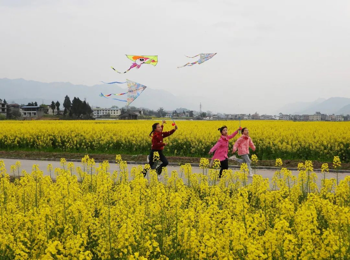 图源：央视新闻