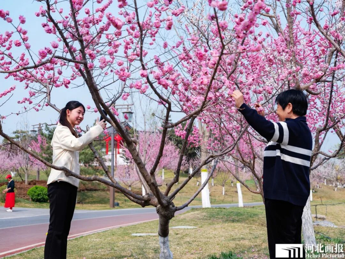 游客在公园内拍照游玩。摄影/杨亚文