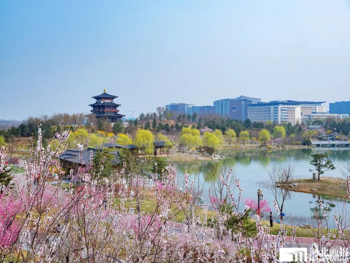 春日悦容公园与容东片区。摄影/杨亚文