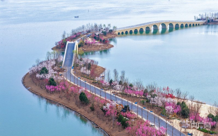 雄安燕南堤春色喜人（央广网发  李达  摄）