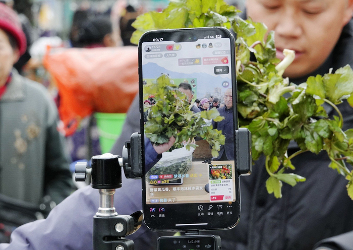 主播正在直播卖野菜。