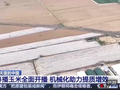 视频丨当春耕遇到繁花 春天里的中国正上演“耕耘绽放”双重奏