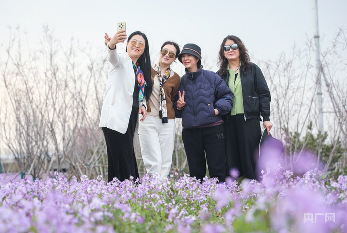 游客在雄安新区打卡拍照（央广网发  陈世豪  摄）