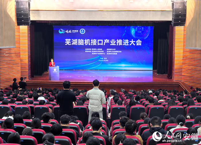 芜湖脑机接口产业推进大会。人民网记者 汪瑞华摄
