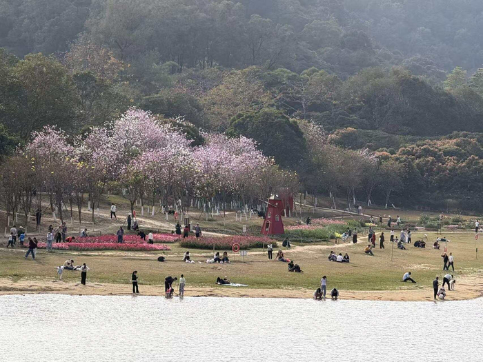        众多亲子游客在广州南沙游园戏水       