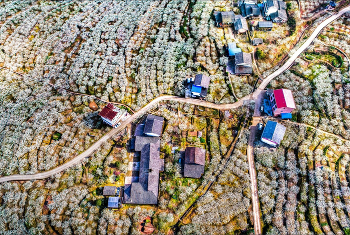 达州市宣汉县城—庙安—洋烈农文旅产业环线