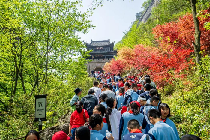 4月1日，四川广元剑门蜀道剑门关旅游区迎来中小学生研学团队。（受访者供图）