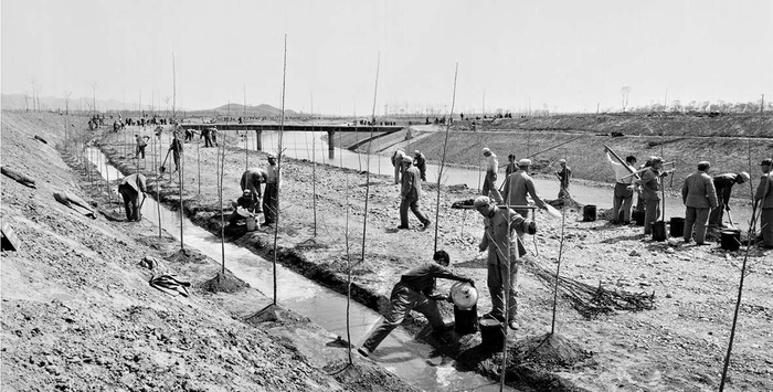 　　上世纪五六十年代，首都军民在京密引水渠两旁绿化。王振民摄