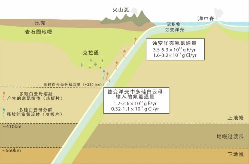 △蚀变洋壳深俯冲卤素循环示意图