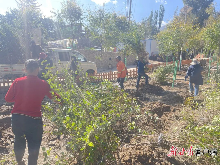 乡村绿化。兰州市林草局供图